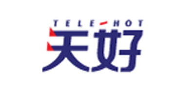 上海天好電子商務股份有限公司