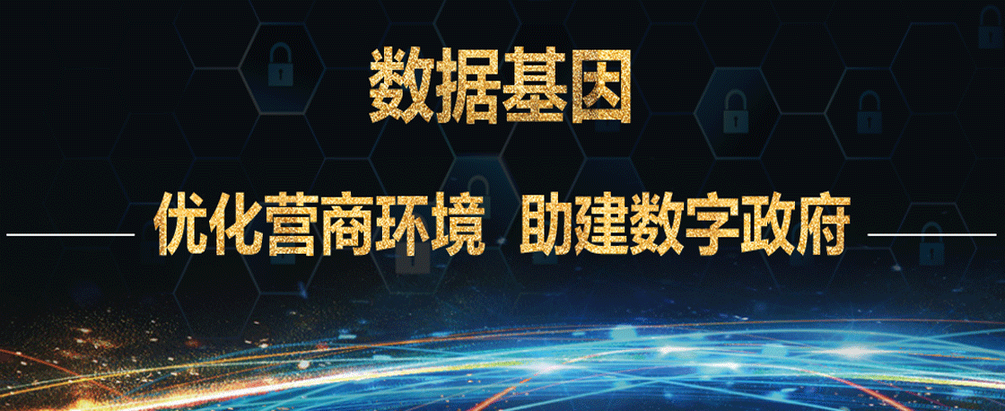數(shù)據(jù)基因——優(yōu)化營(yíng)商環(huán)境 助建數(shù)字政府