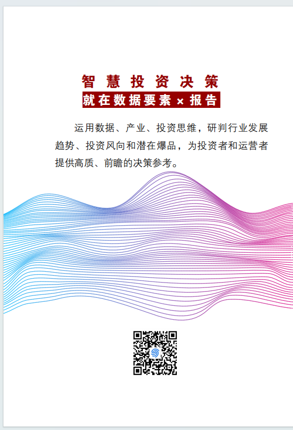 國脈集團創新研發 “數據要素×”行業發展趨勢與投資研究系列報告