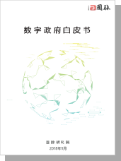 2018數字政府白皮書